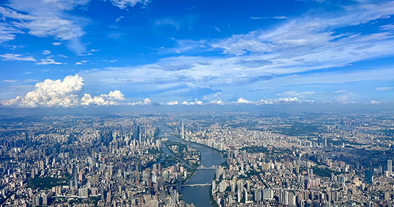 天津网站空间域名注册查询官网