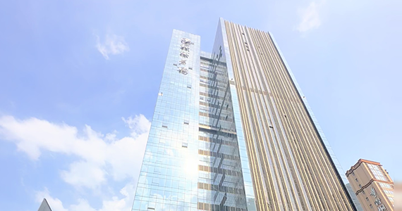 通过上海烟火查询到的域名网站