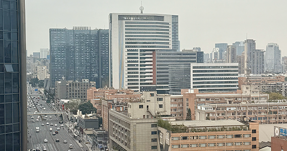 网站提供域名解析历史记录查询