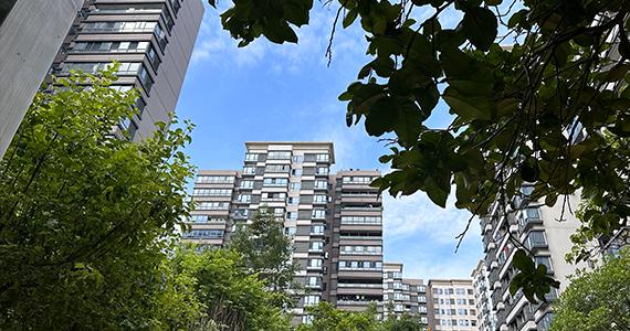 如何查询网站域名是否到期