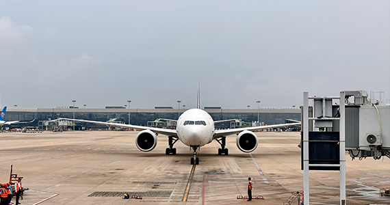 全球域名查询网站