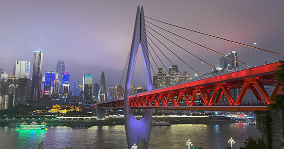 公司网站域名查询