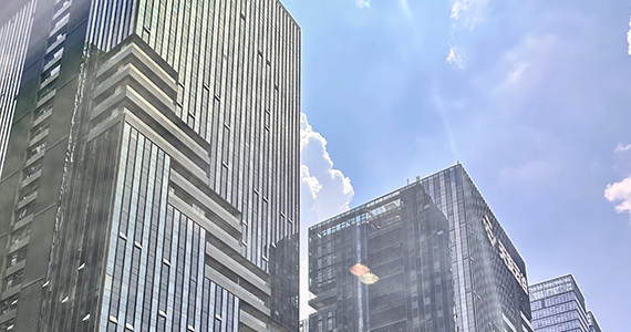 网站域名在哪里查询