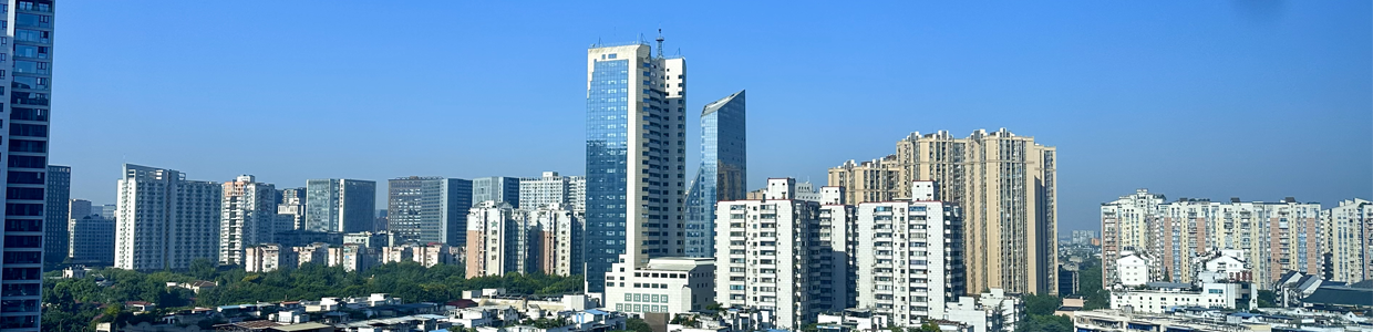 网站域名查询网